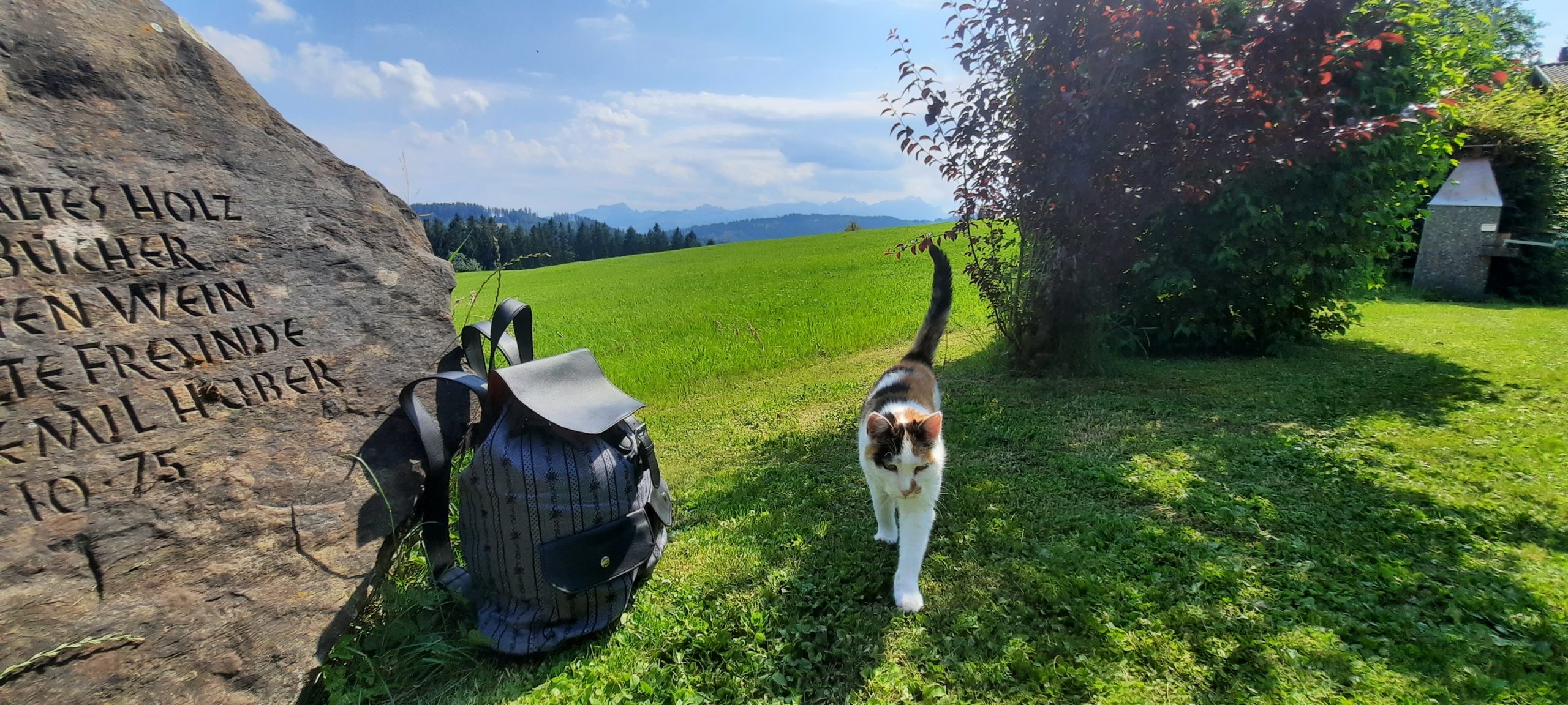 Onlineshop edel-white.ch - modisches und traditionelles Sortiment