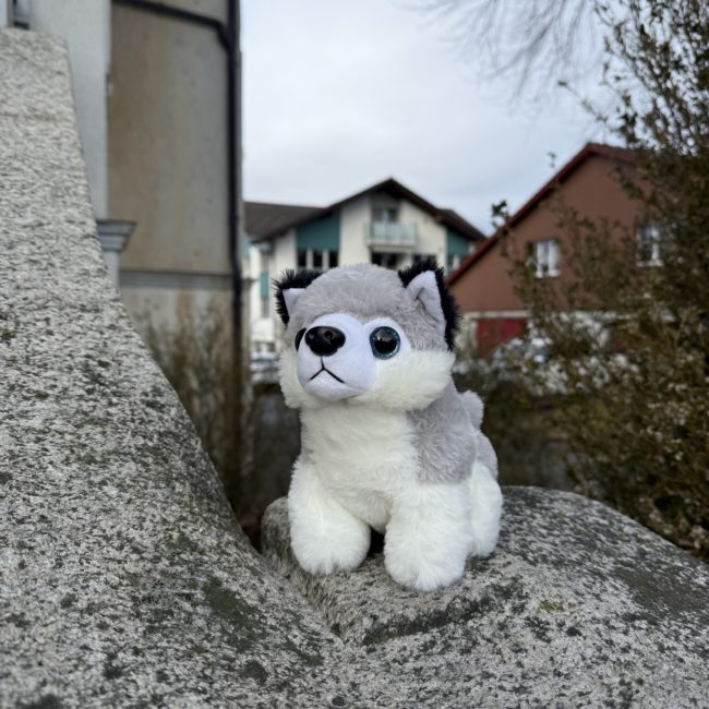 Plüsch Husky