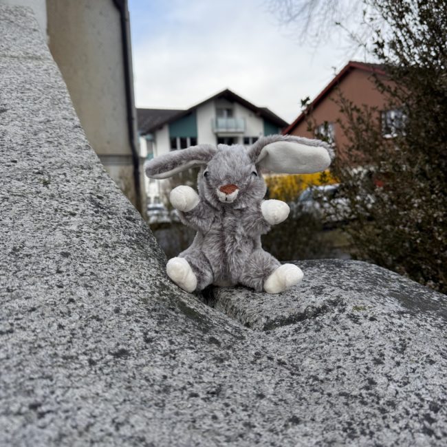 Plüsch Hase