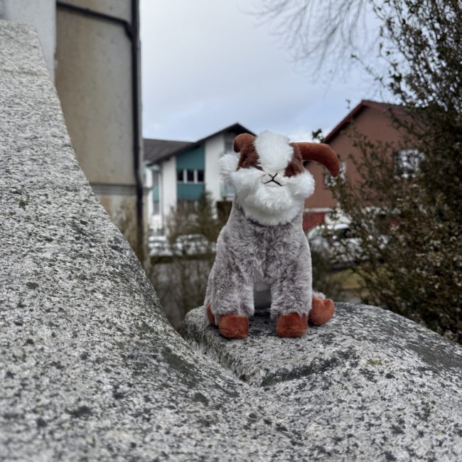 Plüsch Gemse