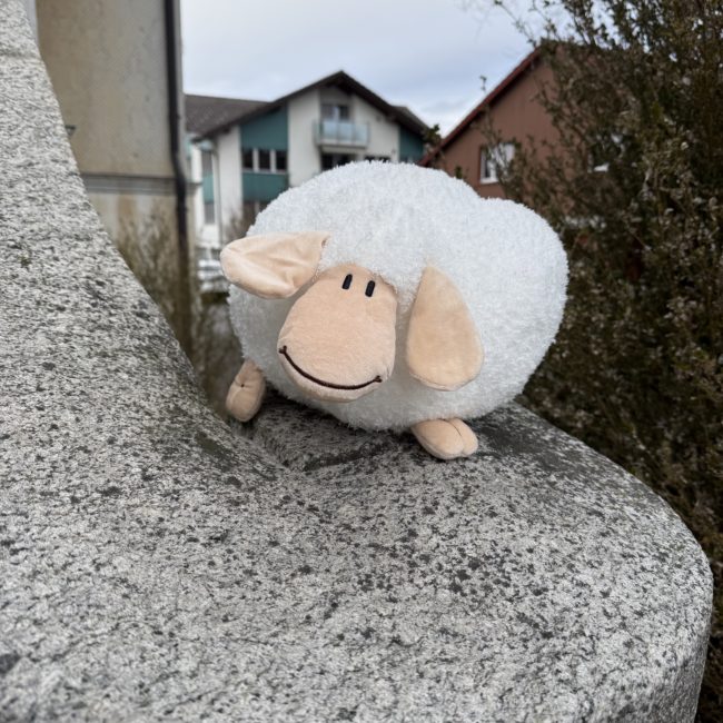Plüsch Kugelschaf, gross