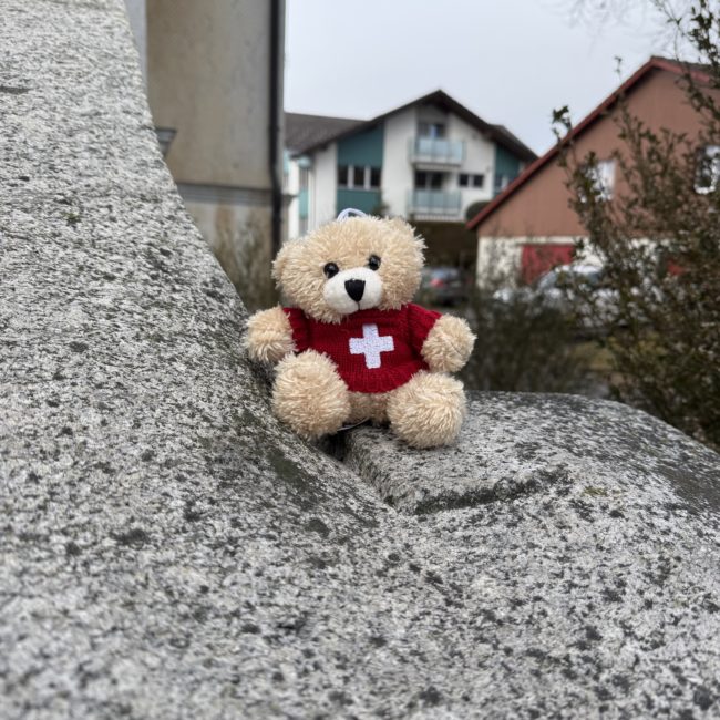 Plüsch Teddybär mit Pullover