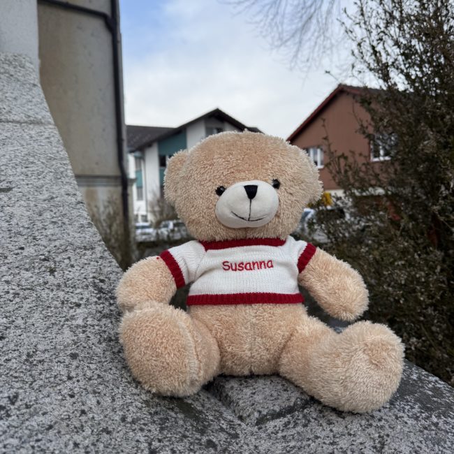Plüsch Teddybär mit Pullover bestickt